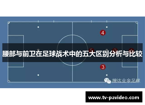 腰部与前卫在足球战术中的五大区别分析与比较