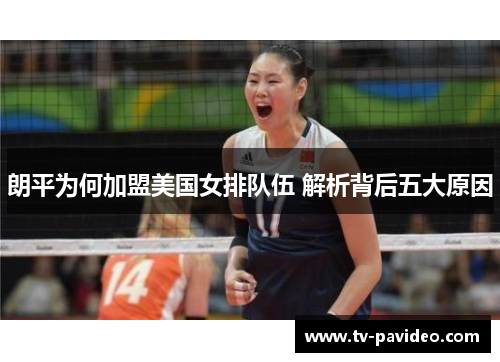 朗平为何加盟美国女排队伍 解析背后五大原因