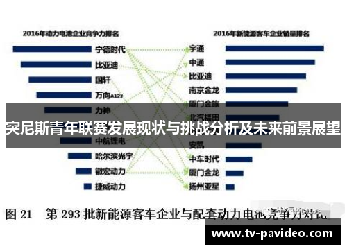突尼斯青年联赛发展现状与挑战分析及未来前景展望