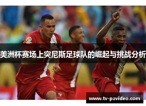 美洲杯赛场上突尼斯足球队的崛起与挑战分析