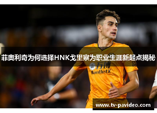 菲奥利奇为何选择HNK戈里察为职业生涯新起点揭秘