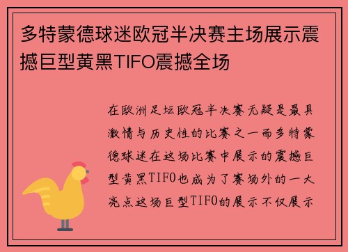 多特蒙德球迷欧冠半决赛主场展示震撼巨型黄黑TIFO震撼全场
